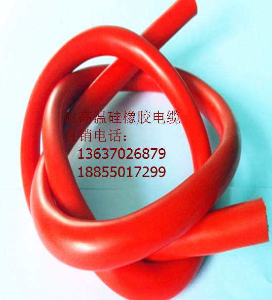 電機(jī)連接線JJGGR-1*95