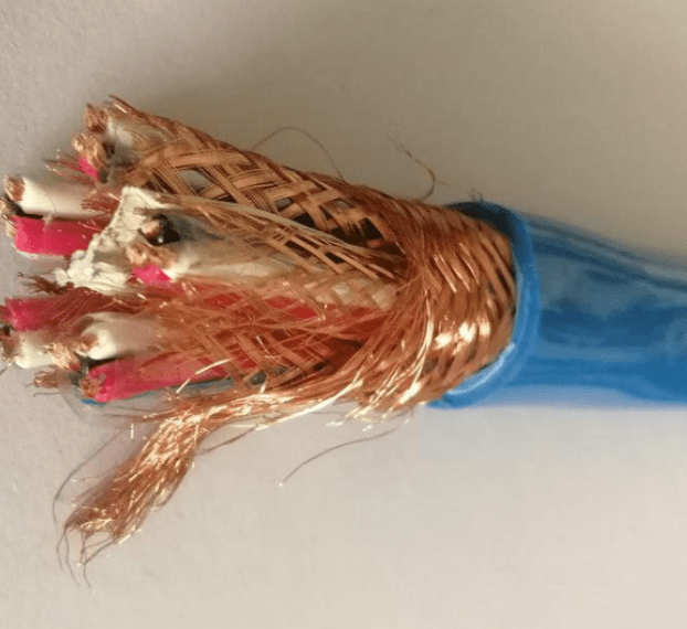 本安電纜IA-DJF46GPG-2*3*1.0