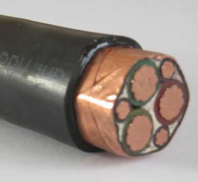 變頻電纜DL-BPFVPP23*120+3*25