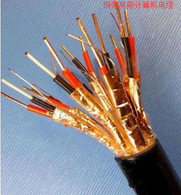 計(jì)算機(jī)電纜DJYP2VP2-22-10*2*1.0